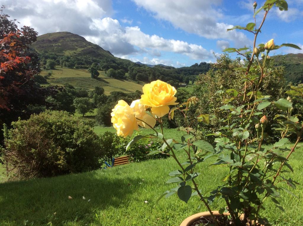 Heulwen Guest House Dolgellau Exteriér fotografie
